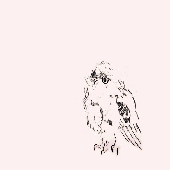 584x584 Sketching From . Cafe Girl And Her Bicycle By Owlstation