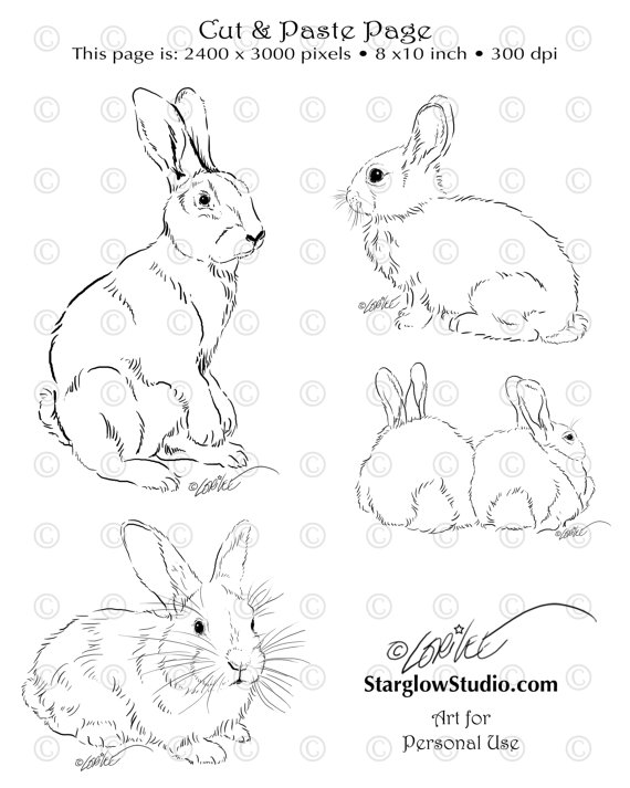 570x713 4 Bunny Rabbit Drawings Clip Art Sketches Digital Stamp