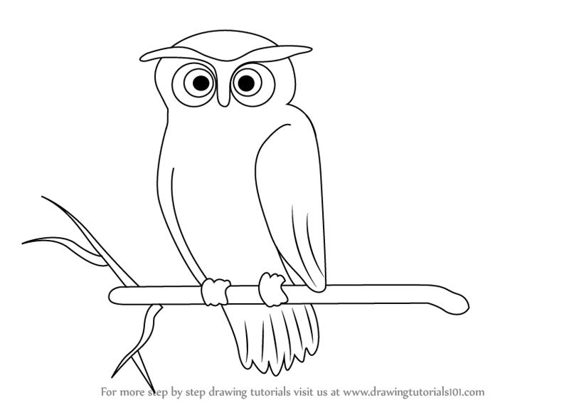 Owl Picture Drawing