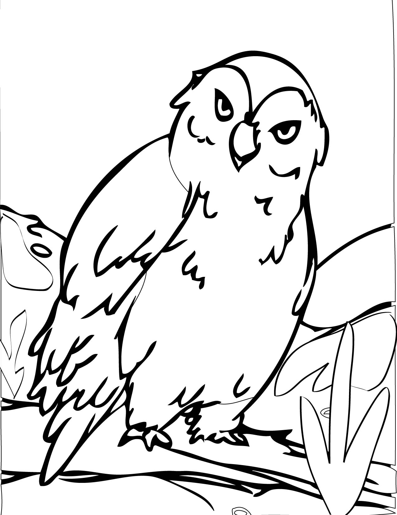 1275x1650 Free Printable Owl Coloring Pages For Kids