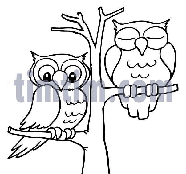 604x564 Free Drawing Of Owls Bw From The Category Birds Amp Insects