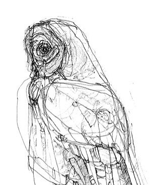 304x367 Leavetaking Owl Drawing Print
