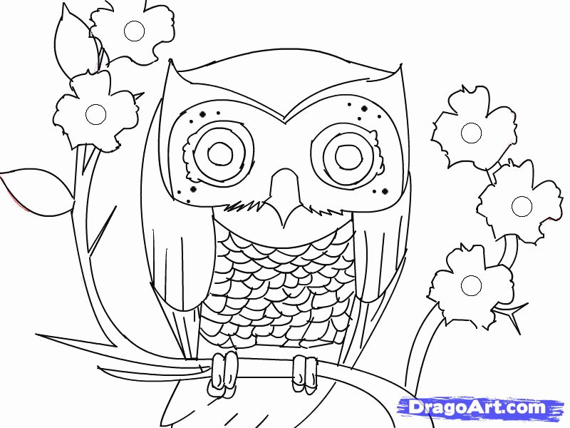 800x600 Owl Drawing For Kids Many Interesting Cliparts
