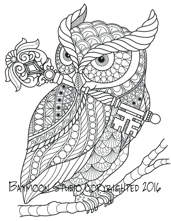 570x738 Good Key Coloring Page Fee Owl With Adult Pages Colouring Skeleton