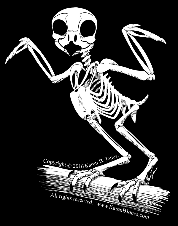 600x763 Owl Skeleton T Shirt Karen B. Jones