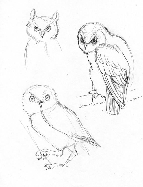 575x751 Hogwash Amp Nonsense Sketchbook Thursday Owls!