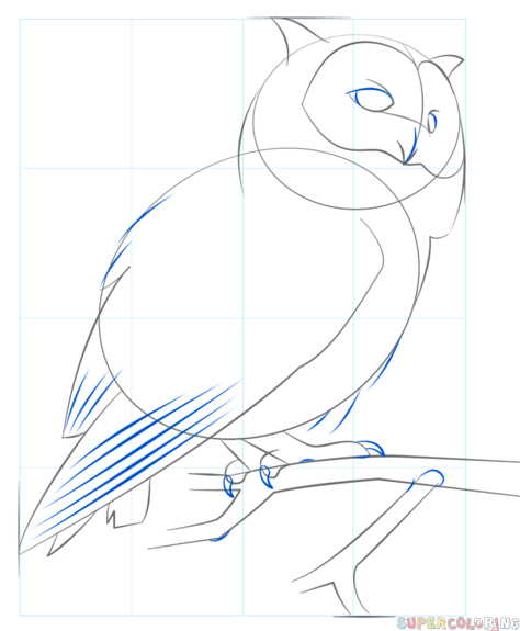 474x575 How To Draw A Realistic Owl Step By Step Drawing Tutorials
