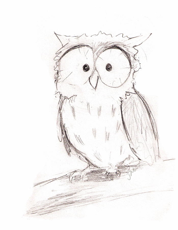 699x900 Little Owl Drawing Owls Owl, Crochet Baby And Crochet