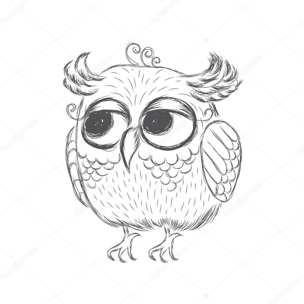 1024x1024 Owl Painted By Hand. A Sketch Of An Owl. Bird Vector, Caricature