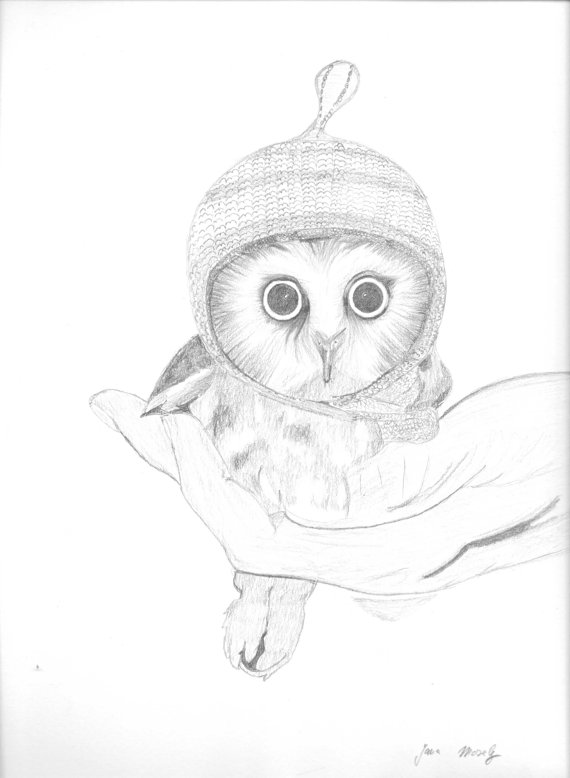 570x778 Pin By Ellen Bounds On Owl Sketches Owl Sketch