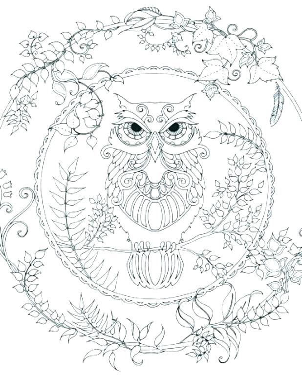618x772 Owl Printable Coloring Pages Synthesis.site