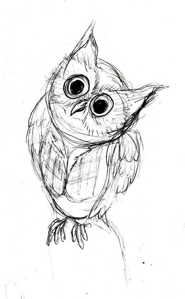 600x966 Sketches Owls On Behance