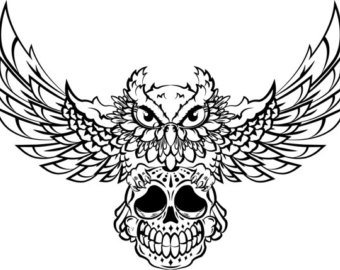 340x270 Owl Skull Etsy