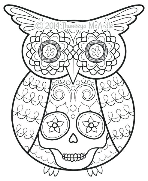 493x600 Skull Coloring Book Day Of The Dead Coloring Book Owl By Media