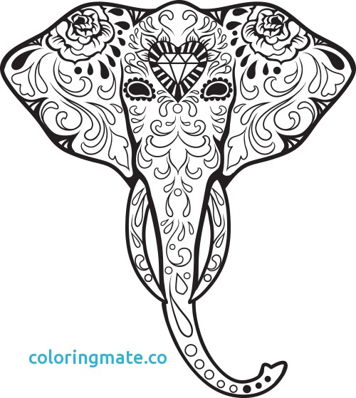 500x559 Sugar Skull Coloring Page Unique Owl Sugar Skull Coloring Pages