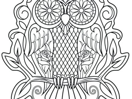 440x330 Sugar Skull Coloring Pages Sugar Skull Owl Coloring Page Free
