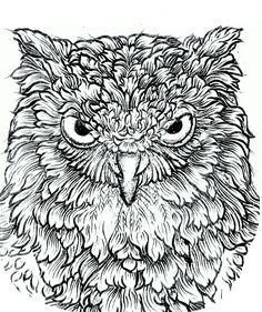 236x281 Owl Skull Tattoo