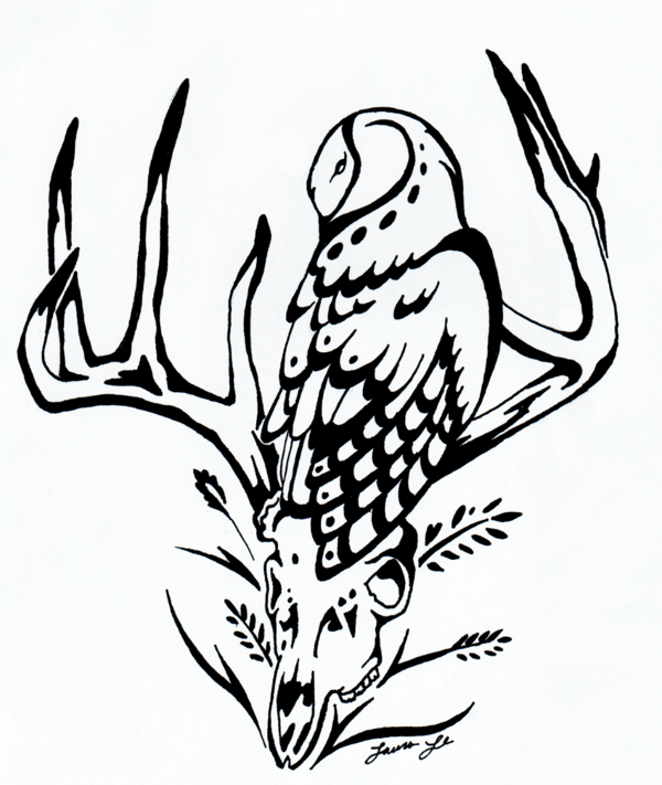 600x711 Barn Owl And Deer Skull Inks By Morrokko
