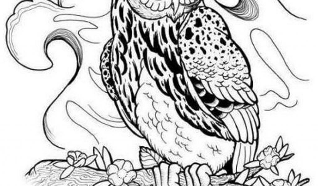 1024x600 Images Owl Tattoo Designs Tattoo Ideas