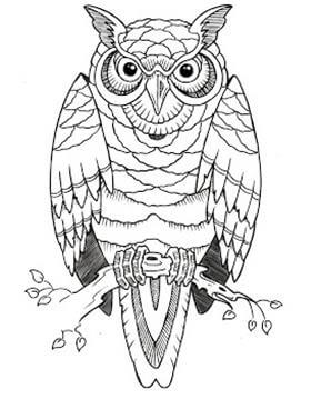 289x359 Owl Tattoo Designs