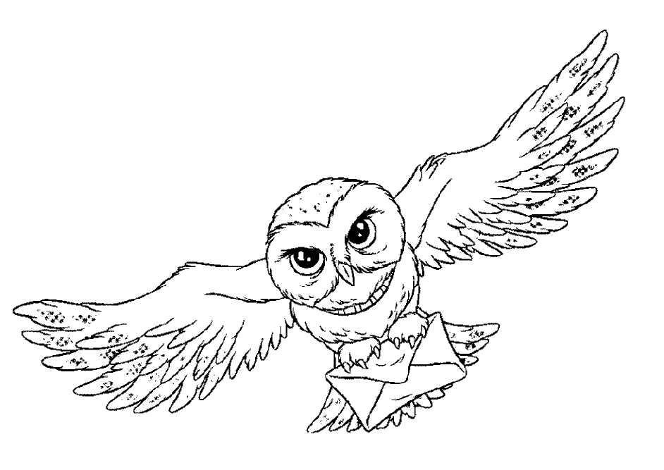 942x667 Great Grey Owl Clipart Printable Coloring Page