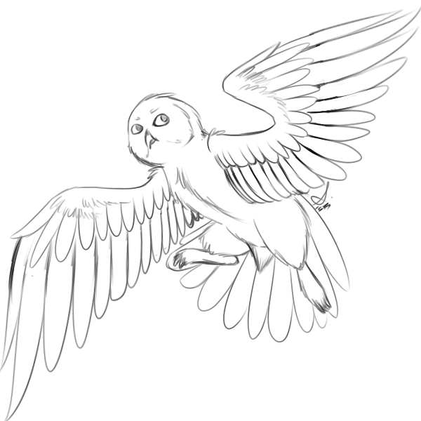 600x600 Owl Sketch By Sinligereep