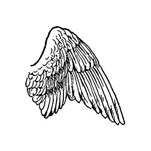 300x300 The Bird's Wings Clipart
