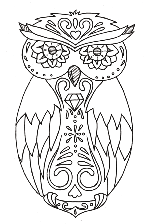600x895 Drawn Owl Dead Owl