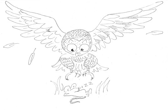 536x357 Owl Powers