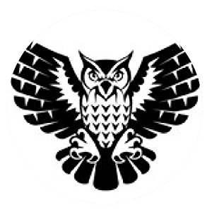 300x300 Owl With Open Wings And Claws. Black And White Tattoo Amazon.co