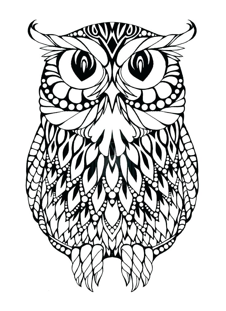 736x1013 Owl Coloring Book Also Marvelous Owls Coloring Pages For Your Line