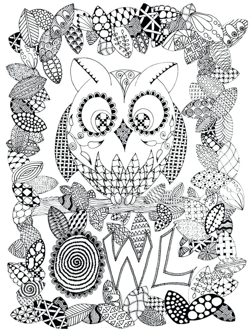 863x1142 Owl Drawing Style From The Gallery Events Coloring Book Images