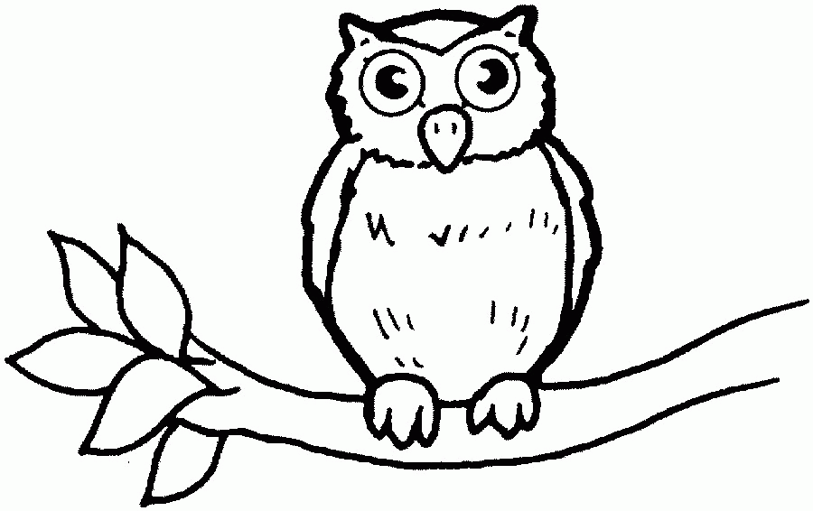 900x566 Owl Drawing For Kids Many Interesting Cliparts