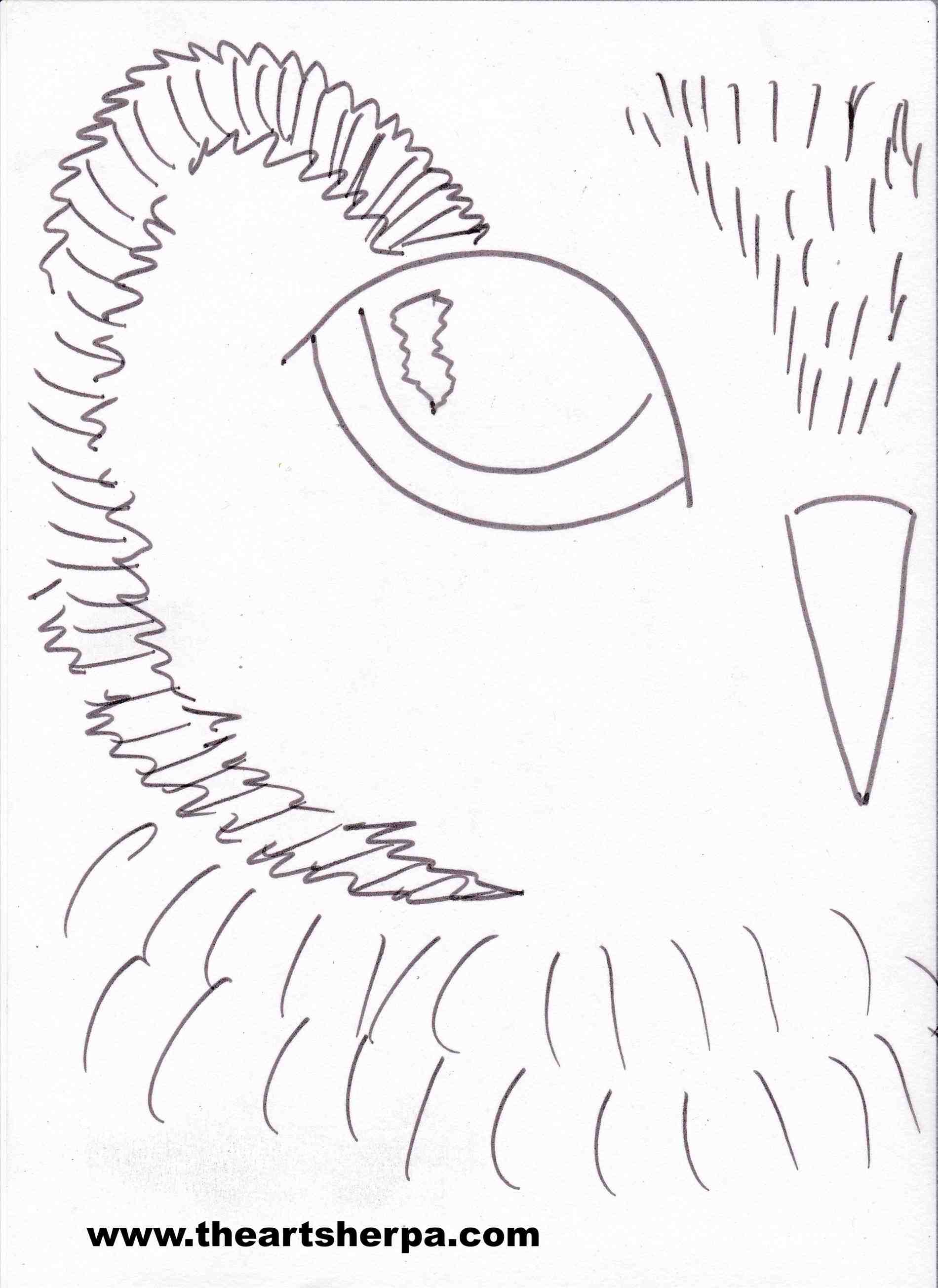 1900x2608 How To Draw A Realistic Owl Step By Step