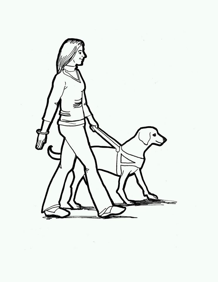 742x960 A Guide Dog Walks Into An Italian And Is Asked