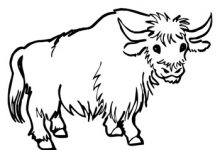 220x150 Ox Coloring Pages