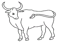 200x150 Cows Coloring Pages And Printable Activities (Cattle)