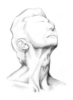 235x321 Pin By Sierra On Anatomy Anatomy