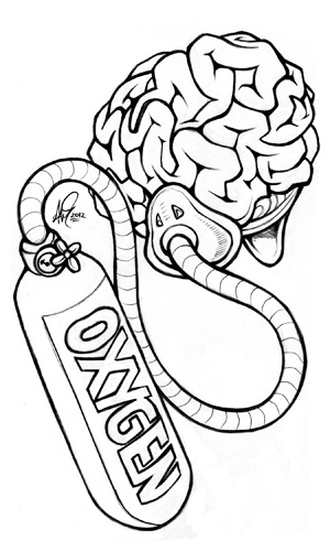 300x500 The Brain Book The Oxygen Starved Brain