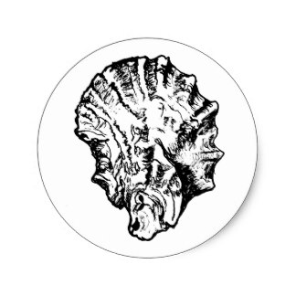 324x324 Oyster Stickers Zazzle