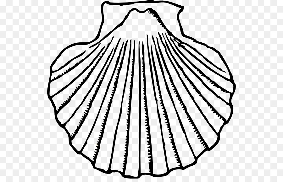 900x580 Clam Seashell Oyster Clip Art