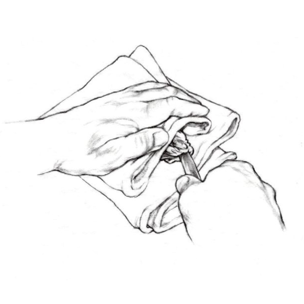 982x982 Oyster Shucking Edible Boston