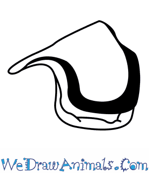 300x350 How To Draw An Oyster