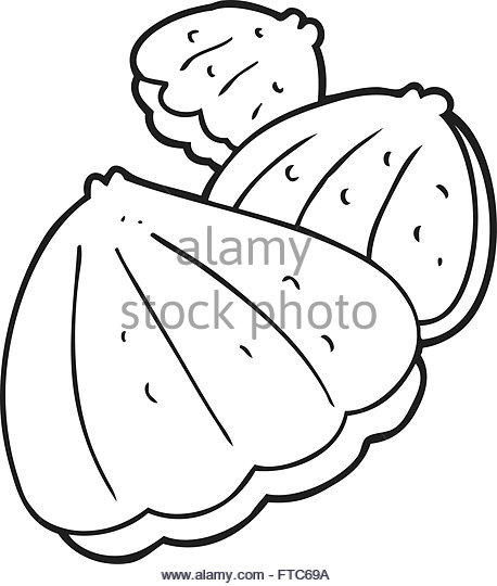 458x540 Hand Drawn Oysters Stock Photos Amp Hand Drawn Oysters Stock Images