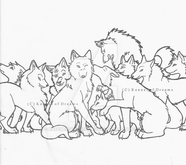600x532 My Wolf Pack Introduction By Xxxemergencyroomxxx