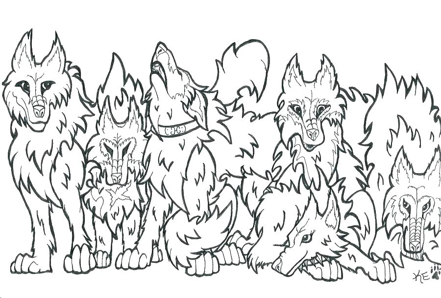 900x609 Wolf Coloring Book And Wolf Realistic 4 89