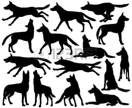 450x371 Wolf Pack Stock Photos. Royalty Free Business Images