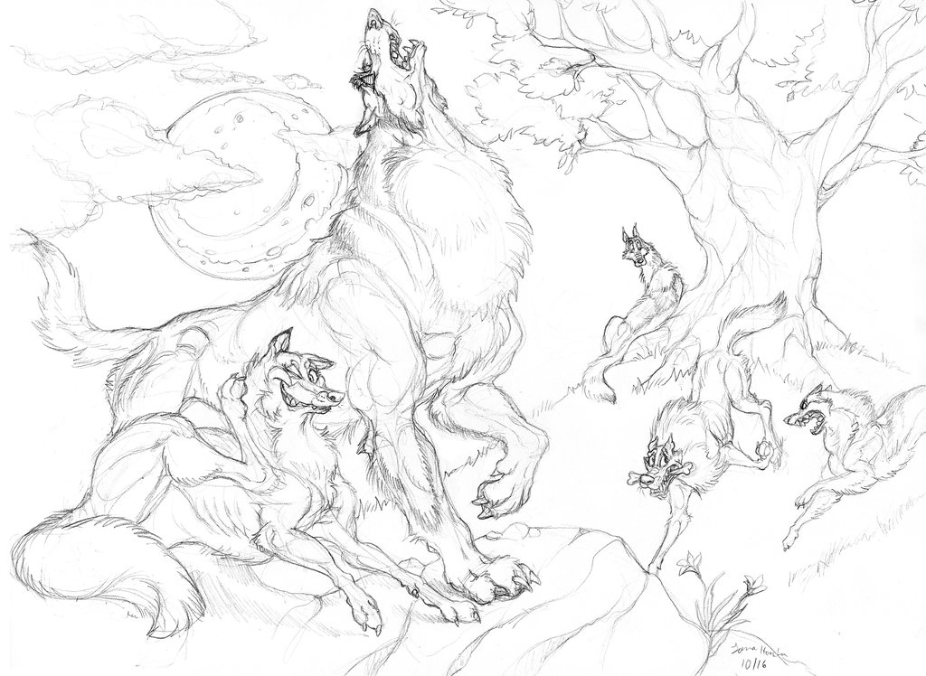 1024x748 Wolf Pack By Chalicothere