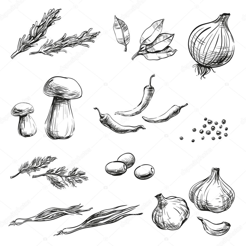 1024x1024 Spices, Herbs, Condiments And Vegetables Icons Hand Drawing