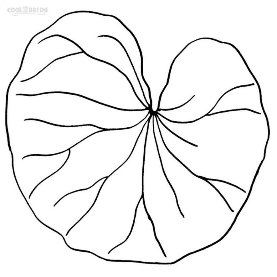 970x970 Lily Pad Coloring Page